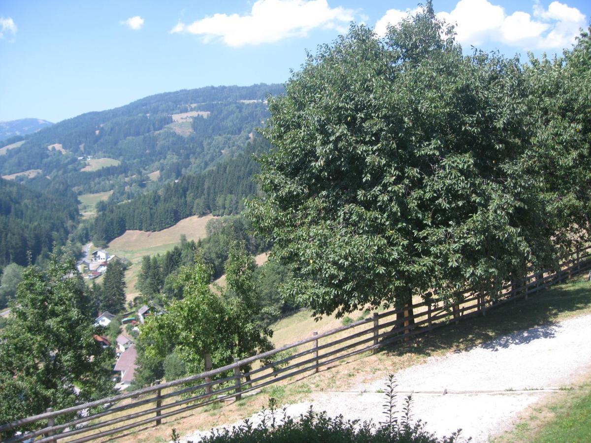 Bed and Breakfast Gerstbreinhof Bad Sankt Leonhard im Lavanttal Esterno foto
